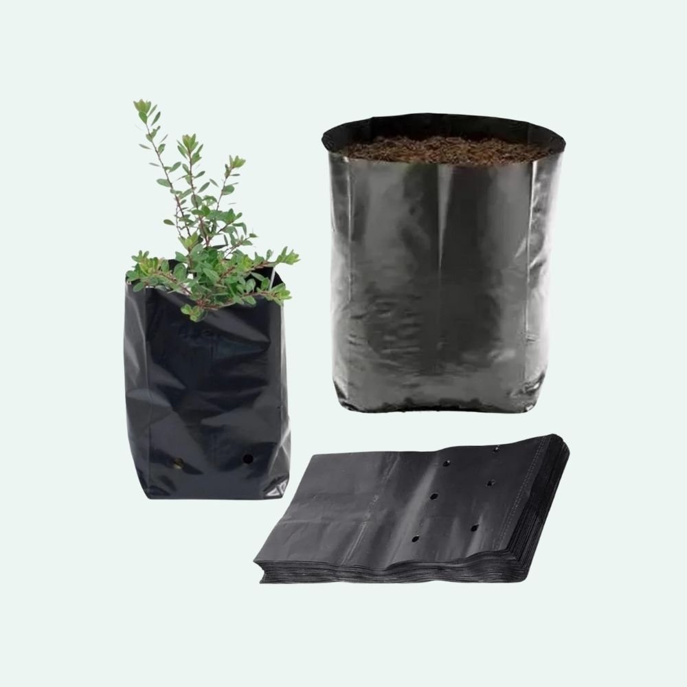 Black Plastic for Nurseries